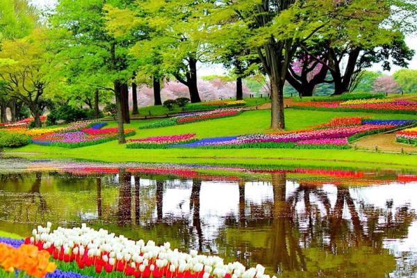 ویلای مدرن کوچک: با تور مجازی از زیباترین باغ های دنیا تماشا کنید